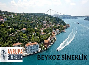 Beykoz Sineklik