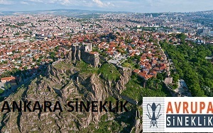 Ankara Sineklik 