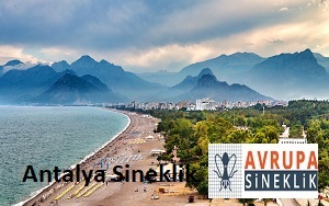Antalya Sineklik