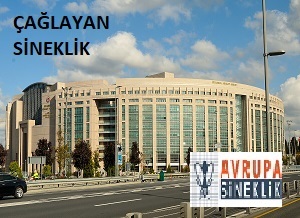 Çağlayan Sineklik