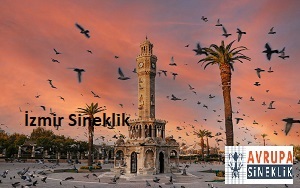 İzmir Sineklik